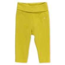Baby Girls Organic Cotton Leggings - Yellow, Size 62